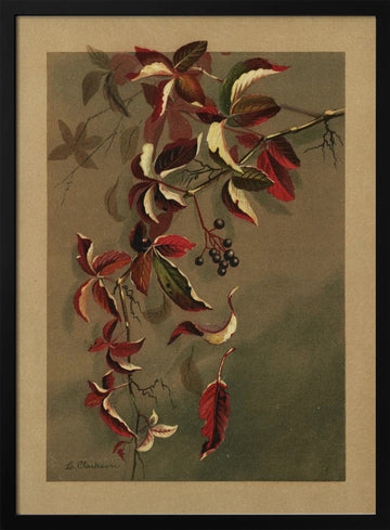 Autumn Leaves With Black Berries | Poster - Black Metal Frame Interior