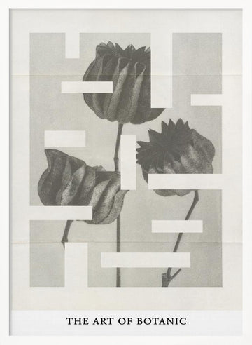 The art of botanic No.1 | Poster - White Frame Interior