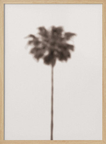 Blurred Palm Tree | Poster - Wood Frame Interior