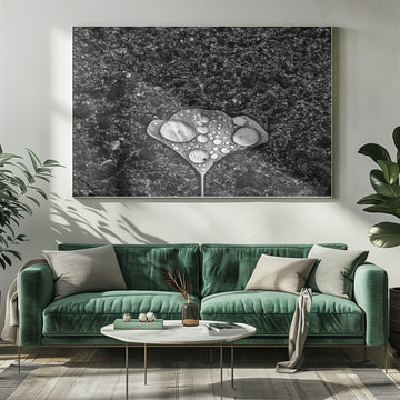 Ginkgo Leaf Water Drops | Poster - Room Interior 1