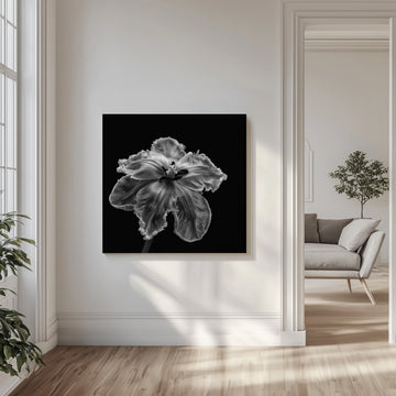 Elegant Monochrome Tulip | Canvas - Room Interior 1