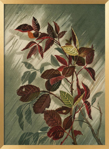 Autumn Leaves In the Rain | Poster - Gold Frame Interior