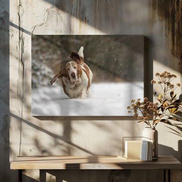 Joyful Basset Hound Snow Run | Canvas - Room Interior 2