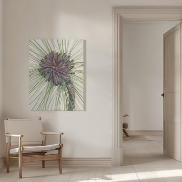 Longleaf Pine From North American Wildflowers (1925) By Mary Vaux Walcott. | Canvas - Room Interior 1