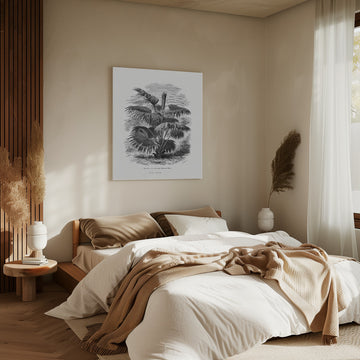 Vintage Palm Tree Drawing Xii | Canvas - Room Interior 2