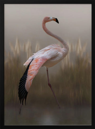 Graceful Flamingo | Poster - Black Metal Frame Interior