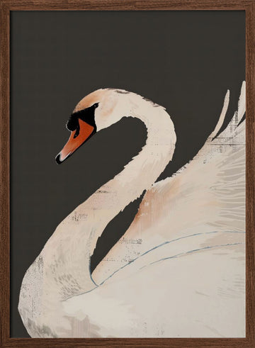 Graceful White Swan | Poster - Walnut Frame Interior