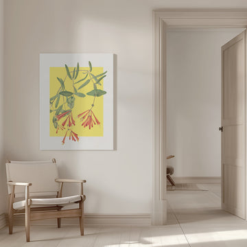 Orange Honeysuckle Bloom | Canvas - Room Interior 1