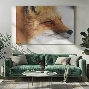 Observant Red Fox | Poster - Room Interior 1