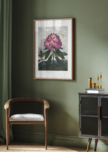 The Pontic Rhododendron from The Temple of Flora (1807) | Poster - Room Interior 2