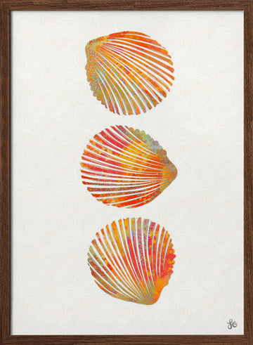 Vibrant Seashells | Poster - Walnut Frame Interior
