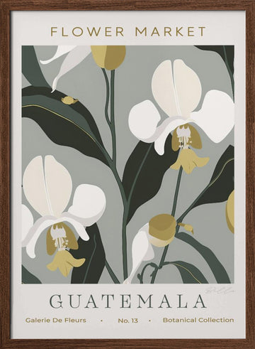 Tropical Guatemala Orchids | Poster - Walnut Frame Interior