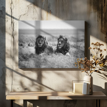 Two Majestic Lions | Canvas - Room Interior 2