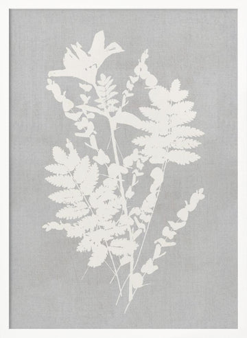Botanical Silhouette Study | Poster - White Frame Interior