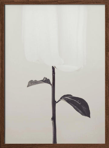 Ethereal Fabric Flower | Poster - Walnut Frame Interior
