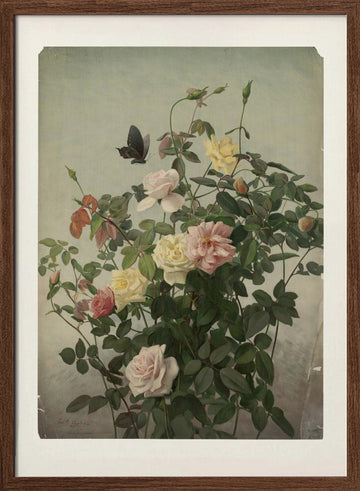 Roses | Poster - Walnut Frame Interior