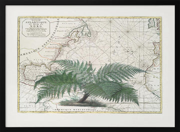 Vintage Map Fern Botanical | Poster - Black Metal Frame Interior