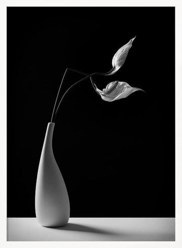 Graceful Peace Lilies Vase | Poster - White Frame Interior