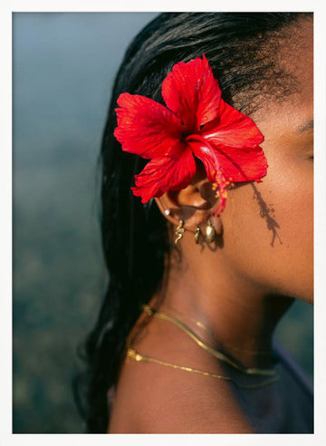 Hibiscus Serenity | Poster - White Frame Interior