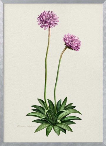 Purple Botanical Bloom | Poster - Silver Frame Interior