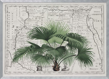 Vintage Palm on Africa Map | Poster - Silver Frame Interior
