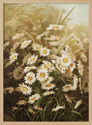 Daisies By Ellen Thayer Fisher | Poster - Wood Frame Interior