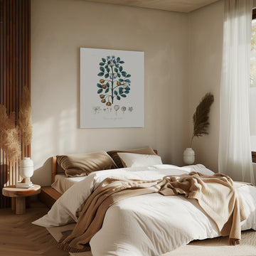 Guaiacwood (guaiacum Officinale) Medical Botany | Canvas - Room Interior 2
