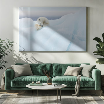 Sleeping Polar Bear Cub | Poster - Room Interior 1