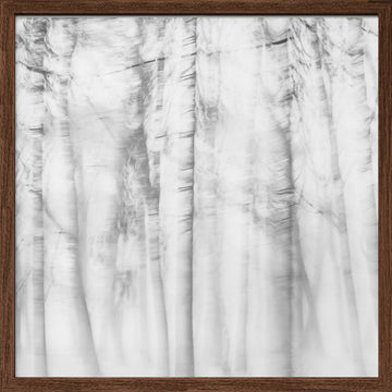 Ethereal Tree Lines | Poster - Walnut Frame Interior