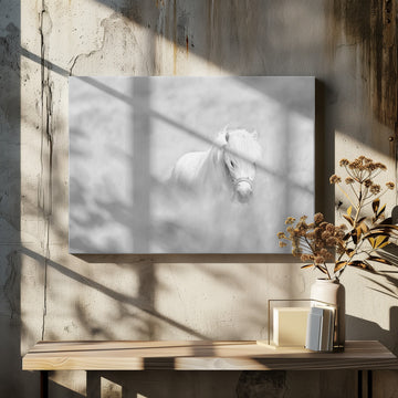 Dreamy White Pony | Canvas - Room Interior 2