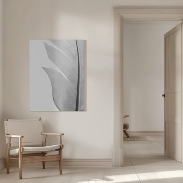 Delicate White Feather | Canvas - Room Interior 1