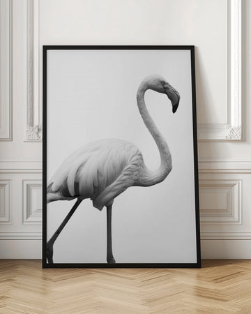 Graceful Silhouette | Poster - Room Interior 1