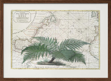 Vintage Map Fern Botanical | Poster - Walnut Frame Interior
