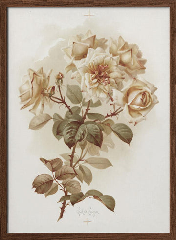 Yellow Roses; Reve D'or Roses | Poster - Walnut Frame Interior