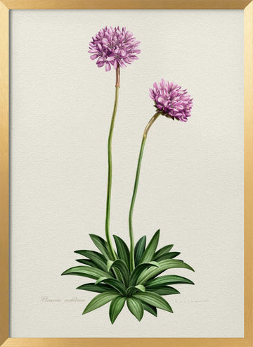 Purple Botanical Bloom | Poster - Gold Frame Interior