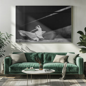 Graceful Shadow Dance | Poster - Room Interior 1