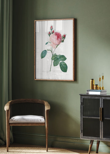 Rosier a Cent Feuilles, From Les Roses | Poster - Room Interior 2