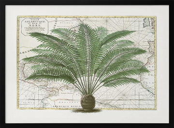 Vintage Palm Atlas | Poster - Black Metal Frame Interior