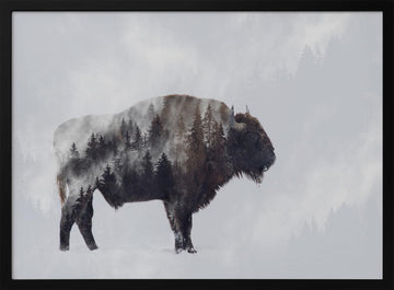 Wild Bison Forest | Poster - Black Metal Frame Interior