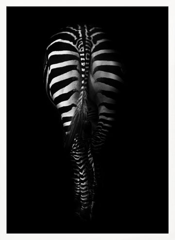 Dark Zebra Stripes | Poster - White Frame Interior