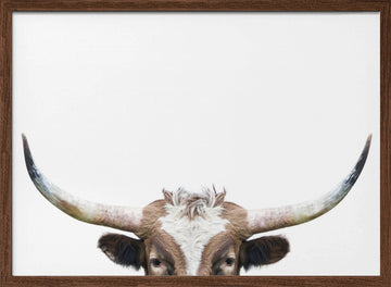 Peeking Longhorn Cow | Poster - Walnut Frame Interior