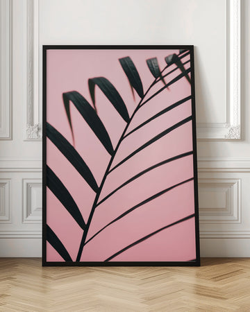 Pink Palm Leaf | Poster - Room Interior 1