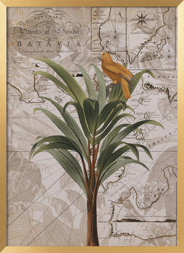 Tropical Map Bird | Poster - Gold Frame Interior