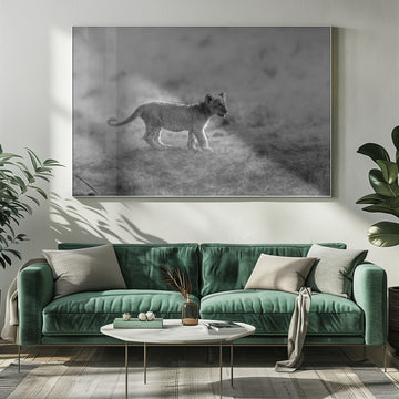 Baby Lion Cub Stroll | Poster - Room Interior 1