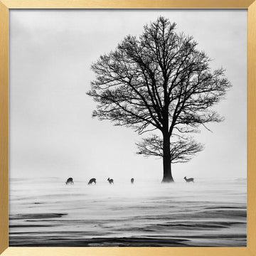 Winter Tree and Deer | Poster - Gold Frame Interior