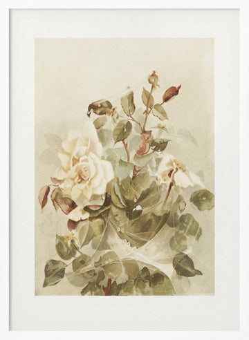Pink Roses Seen Through Early Morning Dew | Poster - White Frame Interior