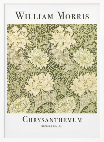 Chrysanthemum | Poster - White Frame Interior
