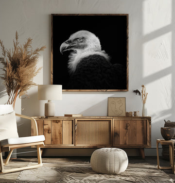 Intense Vulture Gaze | Poster - Room Interior 2