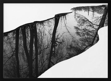 Winter Tree Reflection | Poster - Black Metal Frame Interior