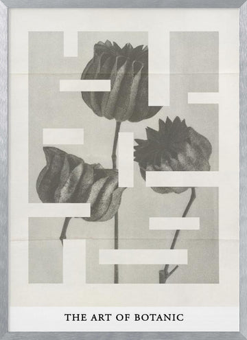 The art of botanic No.1 | Poster - Silver Frame Interior